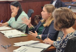 Mon Commission 'struggling to see a benefit' from transmission project